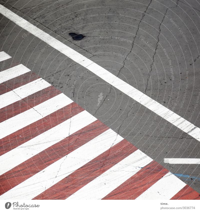 rotes Zebra mit weißen Streifen | on the road again Verkehr Verkehrswege Personenverkehr Straße Wege & Pfade Verkehrszeichen Verkehrsschild Fußgängerübergang