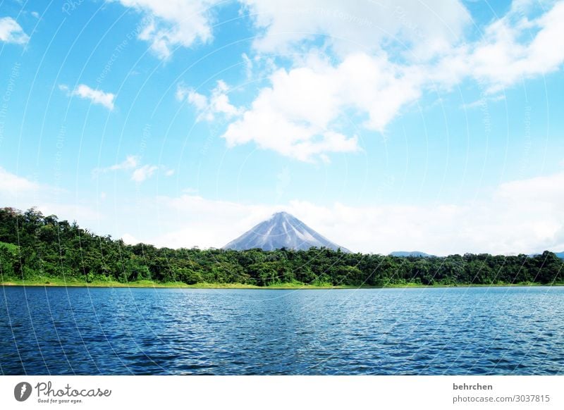 lieblingsvulkan Ferien & Urlaub & Reisen Tourismus Ausflug Abenteuer Ferne Freiheit Umwelt Natur Landschaft Wasser Himmel Wolken Urwald Vulkan arenal See