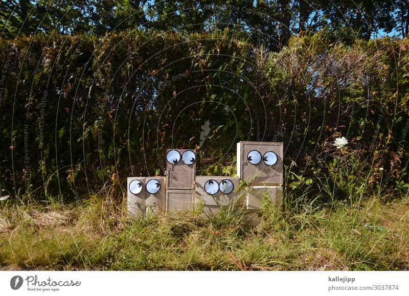 familientreffen Mensch Auge 4 Stadt Blick Comic Telekommunikation blickkontackt stromkasten Energie Hecke Wiese Gras Familie & Verwandtschaft Familienglück