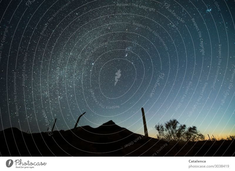 Weltschmerz | Unzulänglichkeit Ferne Freiheit Natur Landschaft Pflanze Urelemente Himmel Wolkenloser Himmel Nachthimmel Stern Horizont Schönes Wetter Dürre