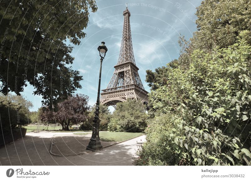 touristenmagnet Ferien & Urlaub & Reisen Tourismus Sightseeing Städtereise Sommer Sommerurlaub Sonne Umwelt Natur Schönes Wetter Pflanze Baum Tour d'Eiffel