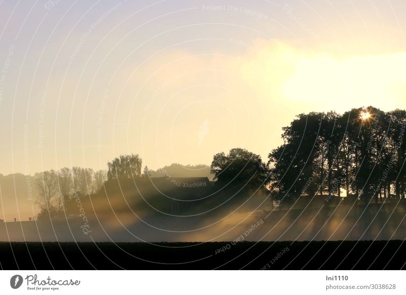 Morgennebel im Oktober Landschaft Sonnenaufgang Sonnenuntergang Herbst Schönes Wetter Nebel Baum Wiese Feld Hügel Stimmung ruhig Bauernhof Herbstbeginn