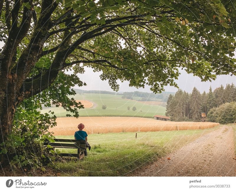 Ruhe Erholung ruhig Sommer wandern Frau Erwachsene Natur Landschaft Horizont Baum Wiese Feld Wald beobachten Denken Blick sitzen träumen warten Glück