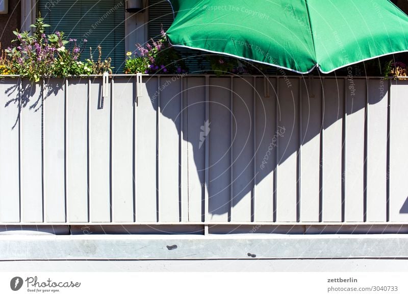 Sommer am Balkon Blume Blühend Blüte Erholung Ferien & Urlaub & Reisen Menschenleer Natur Pflanze ruhig Textfreiraum Stadt Häusliches Leben Wohnung Sonnenschirm