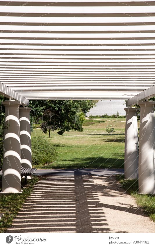 durchblick. ruhig Meditation Garten Schönes Wetter Baum Park Wiese Bauwerk Arkaden Pergola Linie Streifen ästhetisch Schutz Romantik Erholung Kunst Wege & Pfade