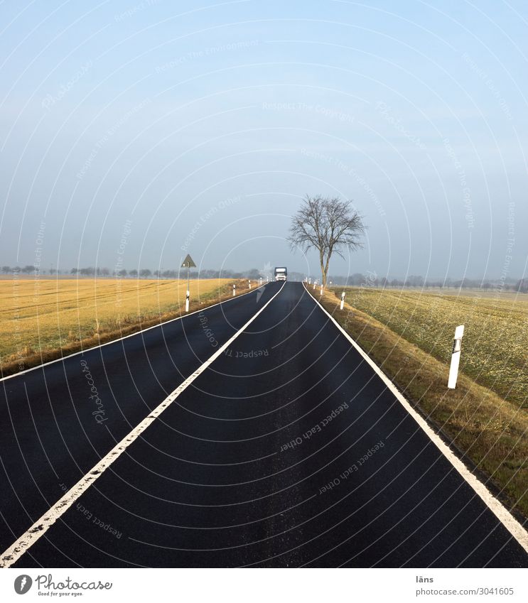 Zielgerade Umwelt Natur Landschaft Herbst Feld Verkehr Verkehrswege Straße Wege & Pfade Schilder & Markierungen Optimismus Beginn Horizont Perspektive