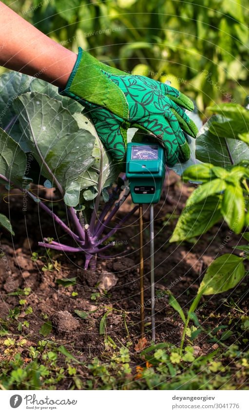 Feuchtebestimmer im Boden. Garten Labor Prüfung & Examen Frau Erwachsene Hand Natur Erde Stiefel grün Feuchtigkeit HP Meter Stickstoff Skala messen Kohlrabi