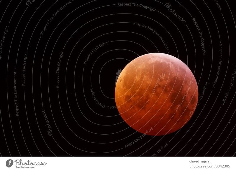 Mondfinsternis 21. Januar 2019 Abenteuer Technik & Technologie Wissenschaften Fortschritt Zukunft High-Tech Raumfahrt Astronomie Teleskop Kunst Umwelt Natur