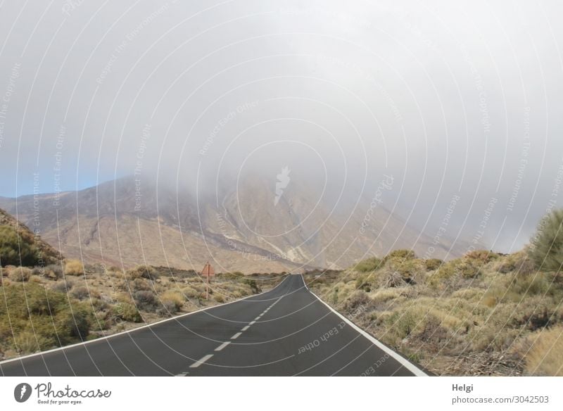 einsame Straße im Nationalpark Teide auf Teneriffa mit Blick auf den in eine Wolke gehüllten Berg Teide Umwelt Natur Landschaft Pflanze Winter Nebel Sträucher