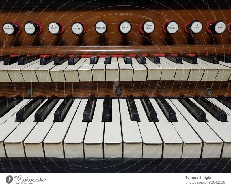 Altes altes Harmonium, Pfeifenorgel-Tastatur Nahaufnahme, frontal Freizeit & Hobby Musik Kunst Konzert Musiker Kirche Holz retro Religion & Glaube Kathedrale