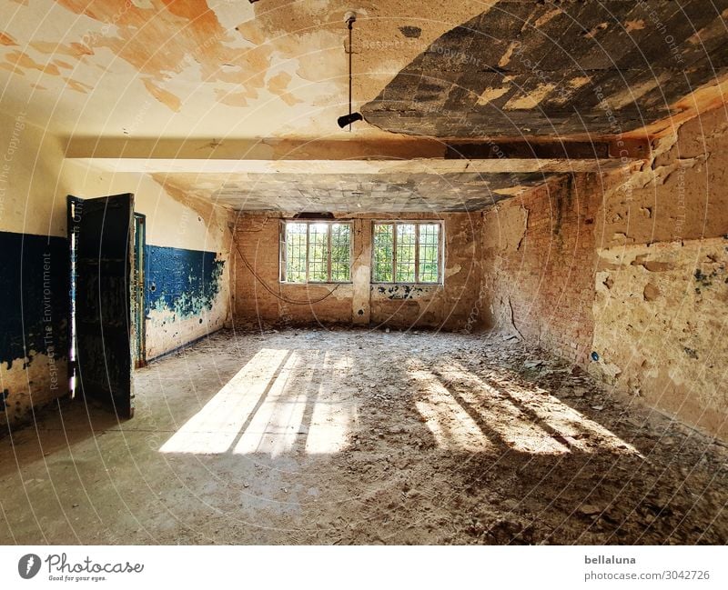 Verfall Sonnenlicht Sommer Menschenleer Haus Ruine Mauer Wand Fenster Tür Sehenswürdigkeit gruselig hell verfallen Bauschutt Decke Sand blau braun Holz Baum