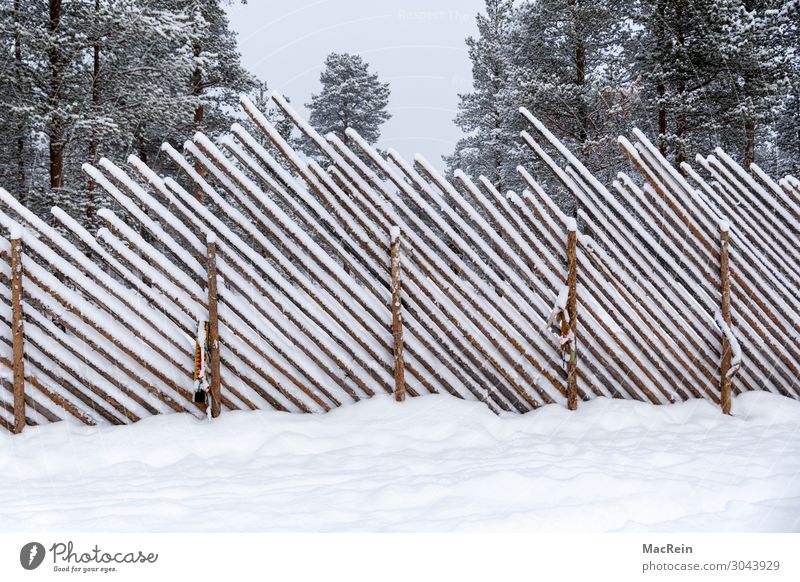 schneebedeckter Zaun Natur Landschaft Winter Wetter Eis Frost Schnee Park Wald Holzzaun Sicherheit Schutz kalt Schneefall diagonal Holzwand Menschenleer