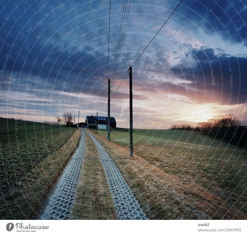 Hochsitz Umwelt Natur Landschaft Pflanze Himmel Wolken Horizont Sonne Schönes Wetter Baum Gras Wiese Wald Thüringen Dorf Haus Gebäude Wege & Pfade Strommast