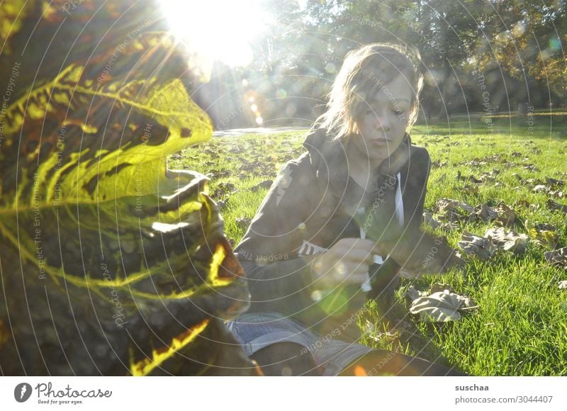 mädchen auf einer herbstlichen wiese mit blatt links Mädchen Kind Jugendliche Teenager Wiese Sonne Sonnenlicht Sonnenstrahlen Herbst Laub Herbstwiese Natur