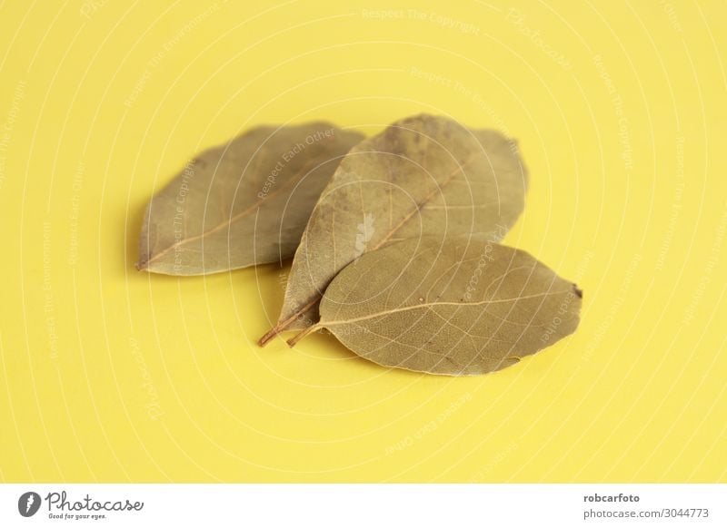 Lorbeerblätter im bunten Hintergrund Kräuter & Gewürze Menschengruppe Natur Pflanze Blatt natürlich grün weiß Farbe Tradition Bucht vereinzelt Top organisch