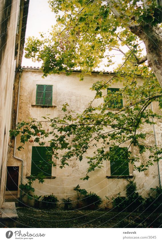 Jardin de Alfabia, Mallorca Haus Baum Garten alt Bauernhof mediteran