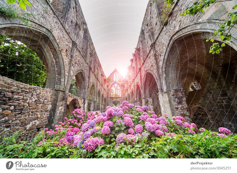 Abtei Beauport in der Bretagne Ferien & Urlaub & Reisen Tourismus Ausflug Sommerurlaub Dorf Kirche Ruine Bauwerk Gebäude Architektur Sehenswürdigkeit