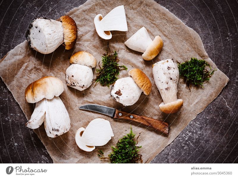 Leckere Steinpilze im Herbst - Pilzsaison Dickröhrling Pilzsucher Natur Wald Sammlung ansammeln Sommer genießen Gesunde Ernährung Speise Essen Foodfotografie