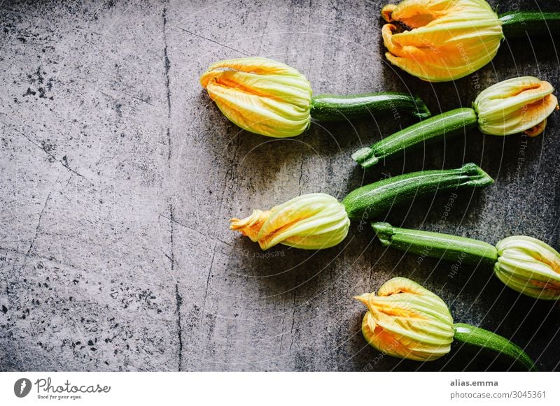 Zucchini Ernte Lebensmittel Gemüse Ernährung Vegetarische Ernährung Gesundheit Sommer Nutzpflanze grau grün "Zucchini," "ernte," Steinboden Zucchiniblüte