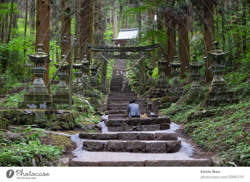 Praying at Kamishikimi Ferien & Urlaub & Reisen Abenteuer Sightseeing Mensch 1 Aso Japan Architektur Tempel O-Torii Tor Laterne Religion & Glaube Schintoismus