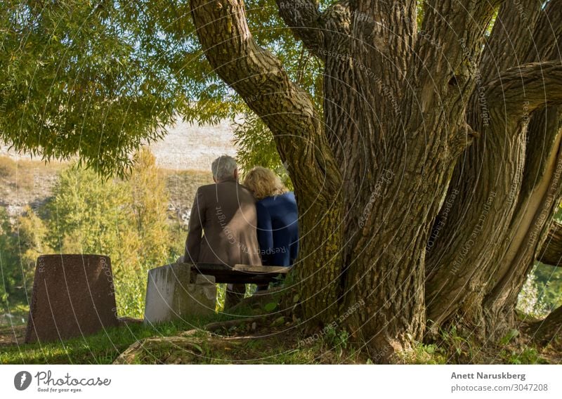 Unsere Zeit Mensch maskulin feminin Weiblicher Senior Frau Männlicher Senior Mann Familie & Verwandtschaft Paar Partner Erwachsene Leben 2 45-60 Jahre