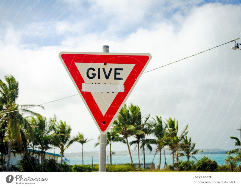 Give way, no way Ferne Wolken Schönes Wetter Wärme exotisch Palme Pazifik Verkehrswege Verkehrszeichen Verkehrsschild Sicherheit Erwartung Umwelt Wege & Pfade