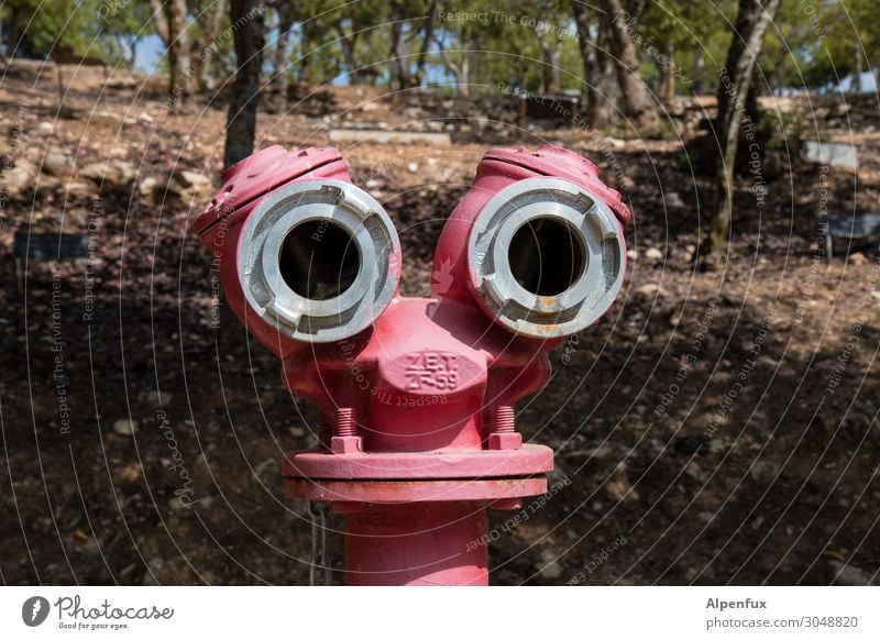 Doppeldings Hydrant Blick rot Angst Zukunftsangst gefährlich Lebensfreude Problemlösung Misserfolg Sicherheit skurril Konflikt & Streit Überwachung Farbfoto