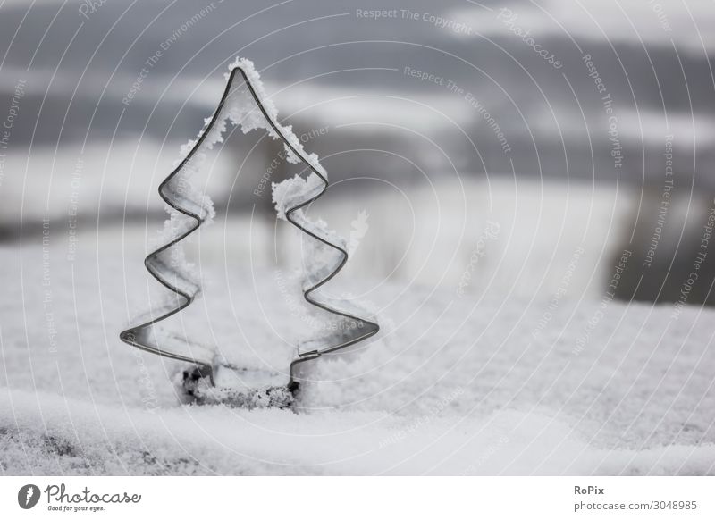 Weihnachtskekse bilden sich in der Winterlandschaft. Lifestyle Stil Freizeit & Hobby Basteln Weihnachten & Advent Bildung Kindergarten Koch Küche Kunst