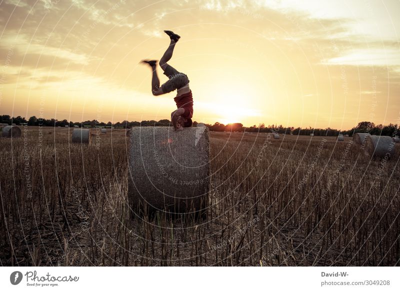 wetten du schaffst es nicht einen Kopfstand... Mensch maskulin Junger Mann Jugendliche Erwachsene Leben 1 Kunst Umwelt Natur Landschaft Sonne Sonnenaufgang