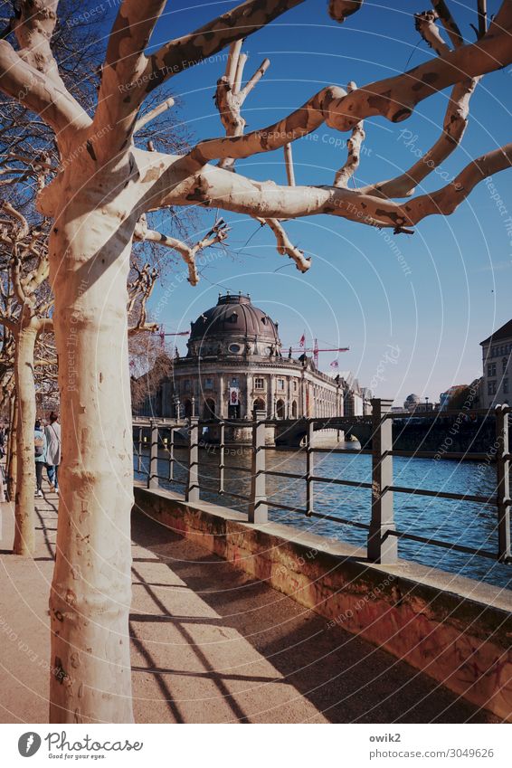 Museumsinsel Wasser Wolkenloser Himmel Frühling Schönes Wetter Baum Flussufer Berlin-Mitte Spree Hauptstadt bevölkert Haus Bauwerk Gebäude Sehenswürdigkeit