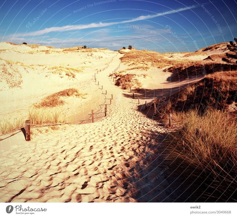 Gedüns Umwelt Natur Landschaft Pflanze Sand Himmel Wolken Horizont Herbst Schönes Wetter Wind Sträucher Wüste Wege & Pfade leuchten Slowinski-Nationalpark Polen