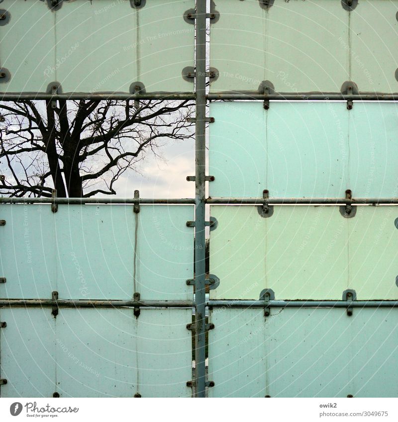 Werbeblock Himmel Baum Ast Werbeschild Werbung Rückseite Holz Metall Krise Missgeschick Ordnung Lücke fehlerhaft Farbfoto Außenaufnahme Detailaufnahme abstrakt