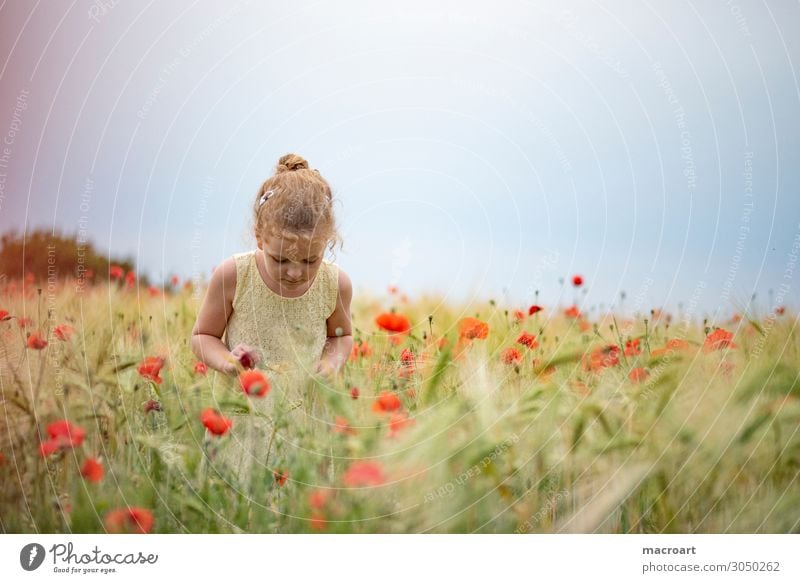 Kind im Mohnfeld Mohnblüte Mädchen Sommer Frühling weiß Kleid Frau feminin stehen Natur natürlich Geruch Blume Klatschmohn Duft Freude Fröhlichkeit