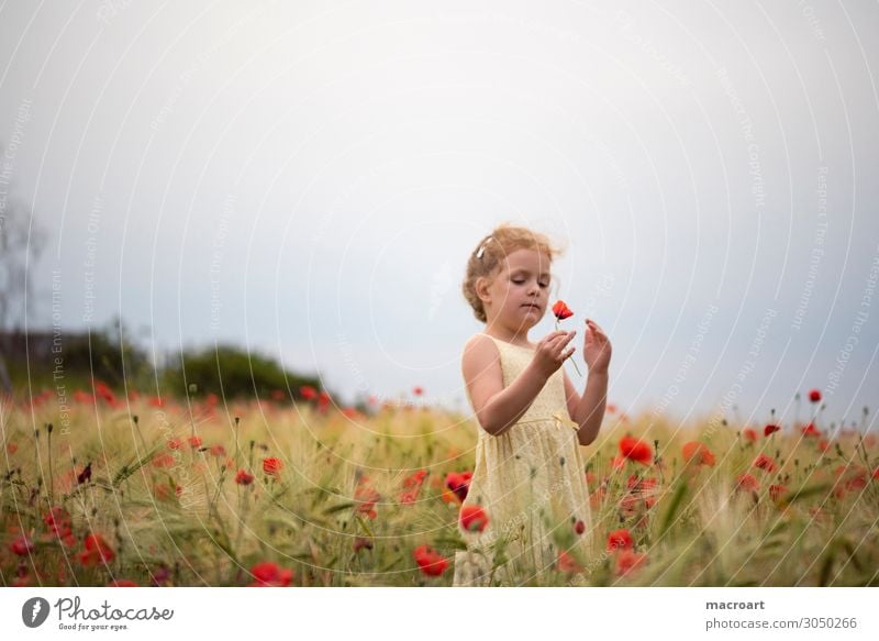 Mohnblüte Kind Mohnfeld Feld Blume Blüte rot festhalten Mädchen Frau feminin Pflanze Tier Sommer Leben mehrfarbig bezaubernd