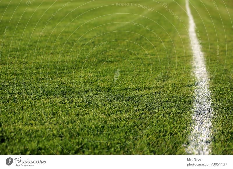 schön gerade Freizeit & Hobby Sport Ballsport Frauenfußball Fußball Tennisplatz Sportstätten Sportveranstaltung Fußballplatz Stadion Gras grün weiß Linie