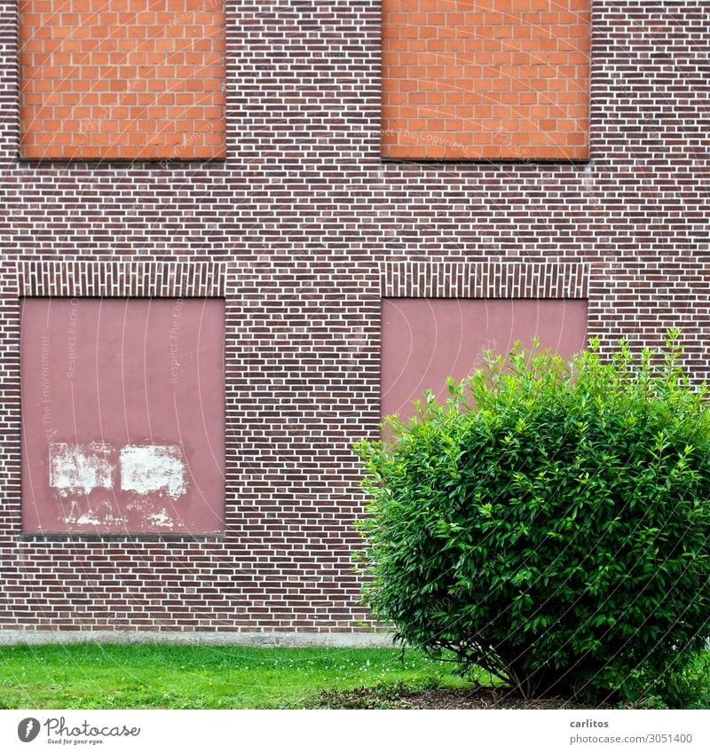 Rathaus zu Schilda Haus Fassade Fenster Mauer geschlossen Schildbürger Unsinn Menschenleer Einsamkeit Unbewohnt Ruine