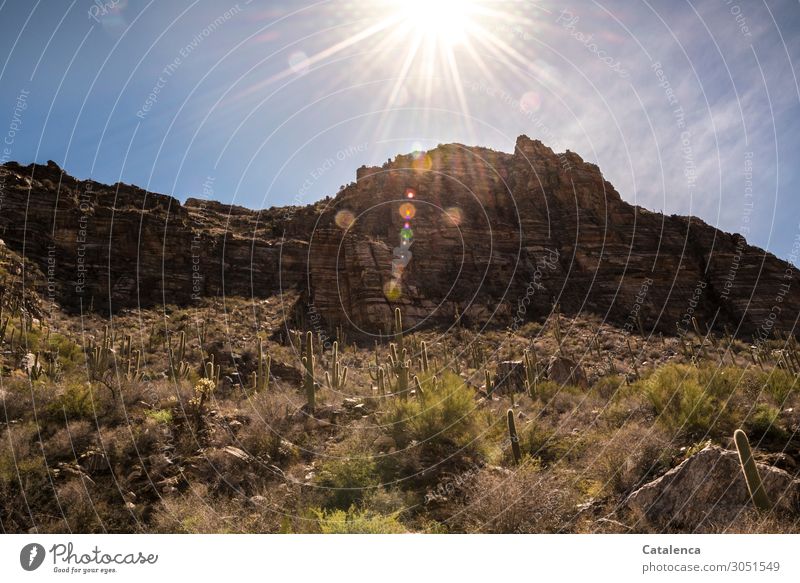 Sonnenlicht überflutet die Bergige Wüstenlandschaft Natur Landschaft Himmel Wolkenloser Himmel Klimawandel Schönes Wetter Pflanze Sträucher Kaktus