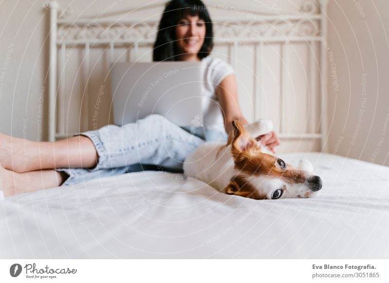 junge Frau auf dem Bett, die am Laptop arbeitet, süßer kleiner Hund nebenbei Lifestyle Freude Glück schön Erholung Spielen Wohnung Computer Notebook