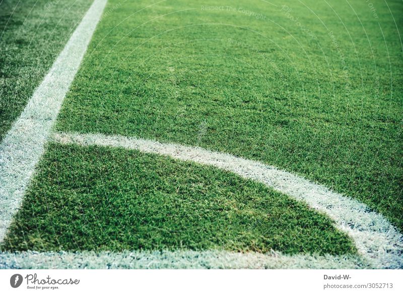 Fußballplatz grüner Rasen und weiße Linien Fußballstadion Sport Außenaufnahme Farbfoto Stadion Sportstätten Spielen Sportveranstaltung Freizeit & Hobby