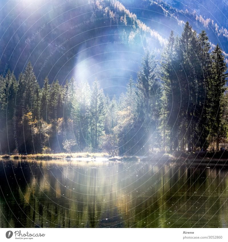 nebulös | Erscheinung am Bergsee Landschaft Sonnenlicht Herbst Schönes Wetter Nebel Nadelbaum Wald Alpen Teich See Gebirgssee Bergwald leuchten träumen wandern