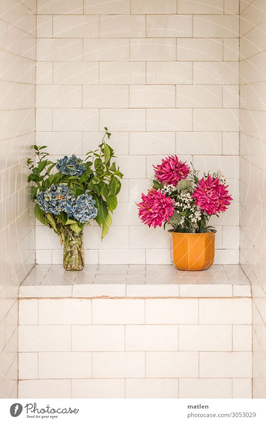 Blumenschmuck Pflanze Sommer Menschenleer Mauer Wand Blühend blau grün rosa weiß Fliesen u. Kacheln Kontrast Vase Blumenstrauß Grabmal Farbfoto Nahaufnahme