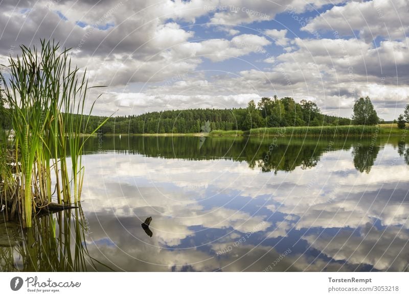 Stausee Heyda Sommer Landschaft Wasser Wolken See blau grün weiß Mittelgebirge deutschland himmel Thüringen Thüringer Wald Talsperre Farbfoto Außenaufnahme Tag