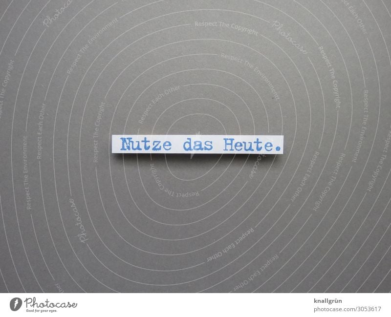 Nutze das Heute carpe diem genießen Bewusstsein Kommunizieren Buchstaben Wort Satz Typographie Text Sprache Kommunikation Schriftzeichen Lateinisches Alphabet