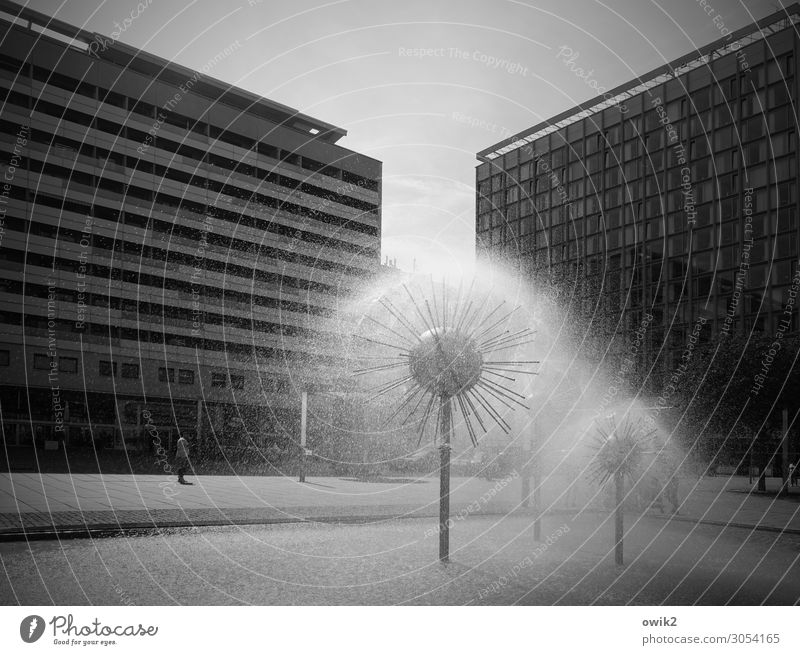 Pusteblümchen Wasser Wassertropfen Wolkenloser Himmel Schönes Wetter Dresden Deutschland Hauptstadt Prager Strasse Stadtzentrum Fußgängerzone bevölkert Haus