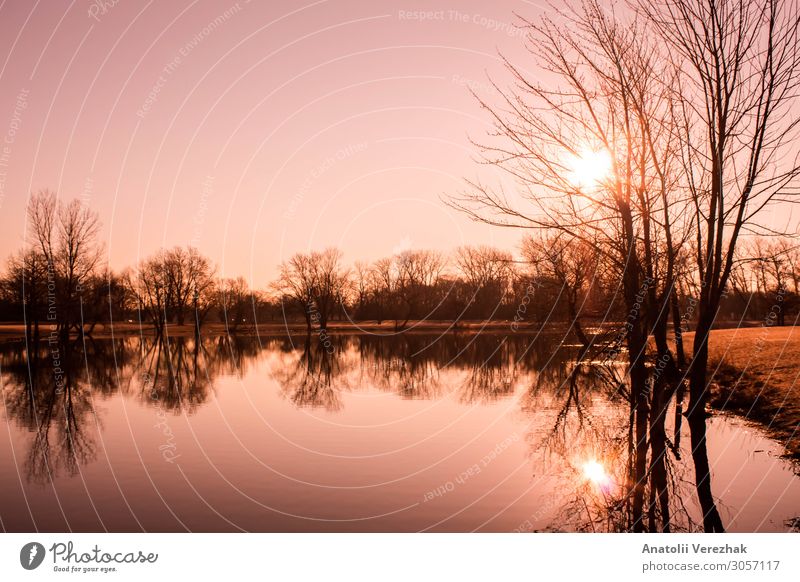 rosa Sonnenaufgangslandschaft am See schön Sommer Spiegel Natur Landschaft Himmel Wolken Nebel Baum Gras Wiese Wald Hügel Fluss hell gelb rot Farbe ruhig