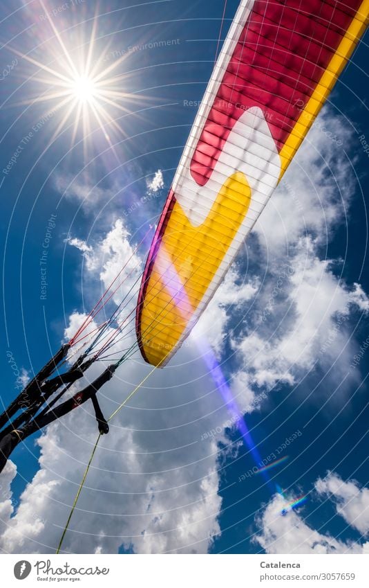 Höhenflug, Sonne blauer Himmel, Wolken und der bunte Gleitschirm Freude Glück Freizeit & Hobby Gleitschirmfliegen Luft nur Himmel Sonnenlicht Sommer