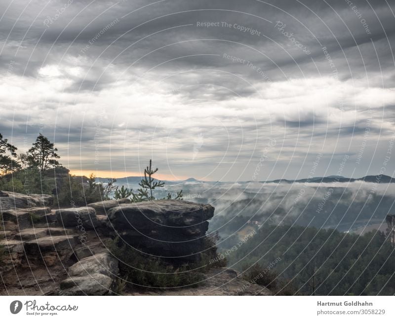 Kurz vor dem Sonnenaufgang in der Sächsischen Schweiz. Ferien & Urlaub & Reisen Tourismus Berge u. Gebirge wandern Natur Nebel Wald Felsen Sehenswürdigkeit