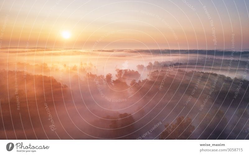 Sommer Natur Landschaft Luftpanorama. Nebliger Morgen ruhig Ferien & Urlaub & Reisen Tourismus Ausflug Abenteuer Ferne Freiheit Sommerurlaub Umwelt Wasser