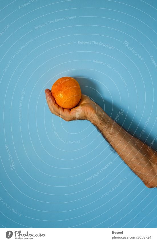 orange in der Hand an der blauen Wand Frucht Lifestyle Design Mensch Mann Erwachsene Arme Finger Natur genießen frisch Farbe Menschen Grafik u. Illustration