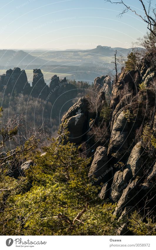 Sächsische Schweiz Landschaft Berge u. Gebirge Felsen Natur Mittelgebirge Gesteinsformationen Wald Baum Elbsandsteingebirge Sachsen wandern Klettern Bergsteigen